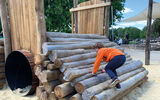 Das Bild zeigt den Redwood Forest im Wildpark Frankenhof, Reken_Bild8