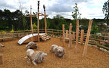 Das Bild zeigt die Spielanlage Klein Afrika im Zoo de Beauval in Saint-Aignan, Frankreich_Bild4