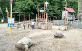 Das Bild zeigt die Wasseroase im Tierpark Gettorf_Bild1