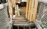 Web-Adventure-Trails-02.jpg