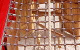 bild-6.jpg