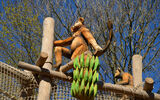 Das Bild zeigt Verkaufshaus im Tierpark Gettorf_Bild4