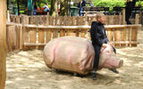 Das Bild zeigt den Affenspielplatz im Tier- und Freizeitpark Thüle, Friesoythe_Bild4